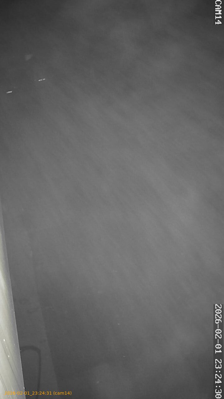 thumbnail_20260201232431