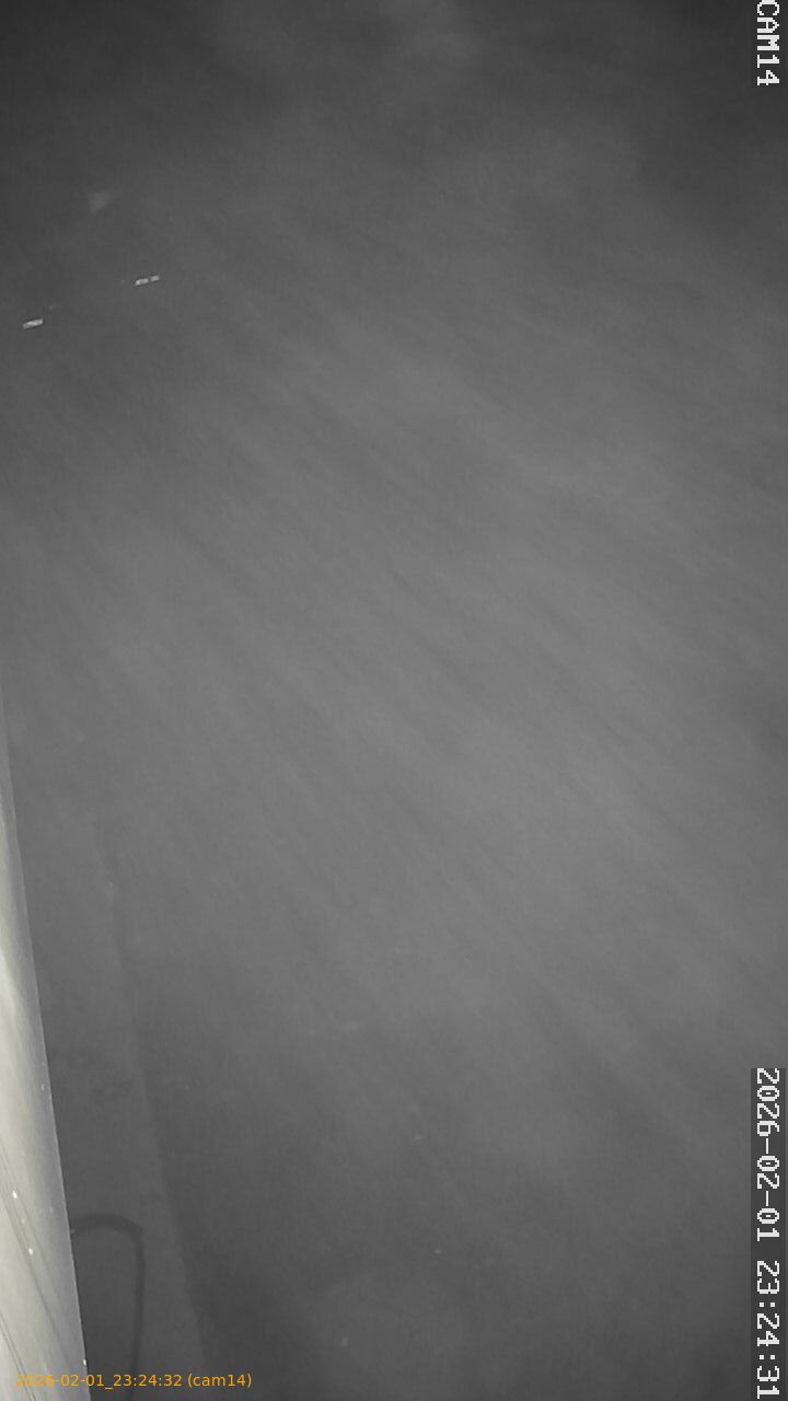 thumbnail_20260201232432