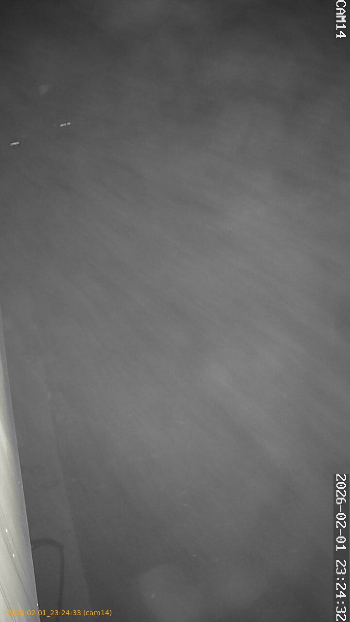 thumbnail_20260201232433