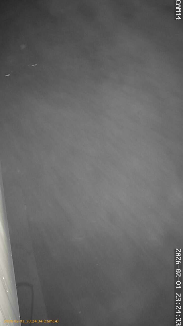 thumbnail_20260201232434