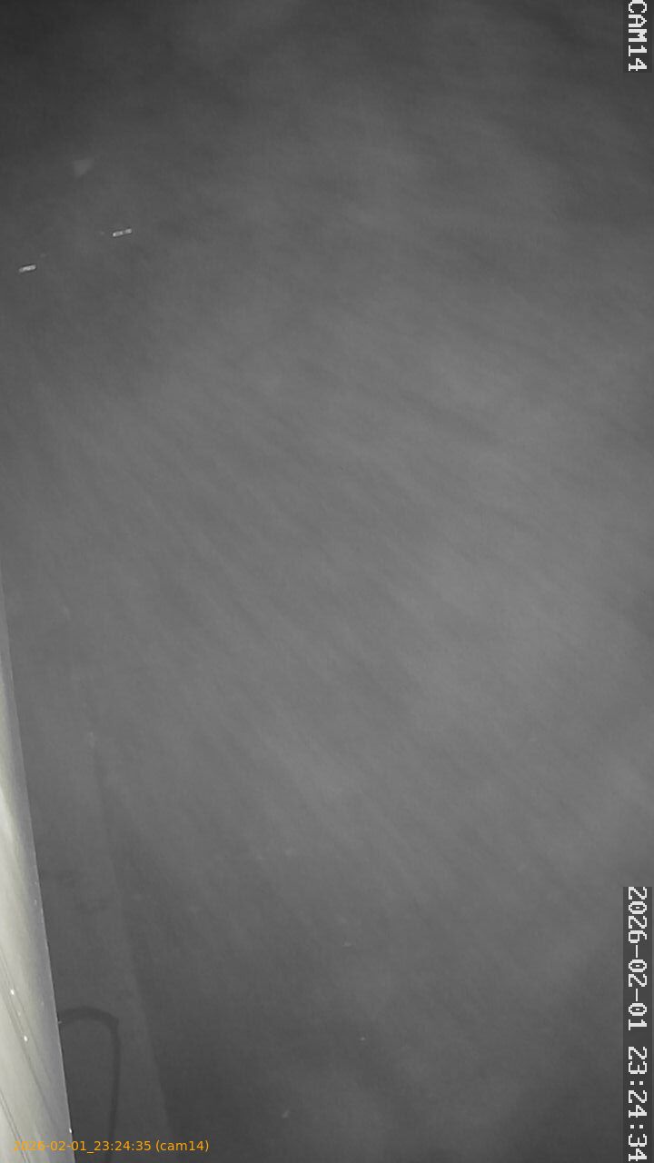 thumbnail_20260201232435