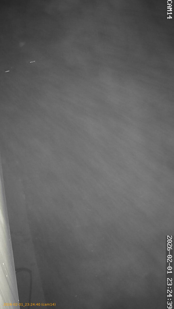 thumbnail_20260201232440