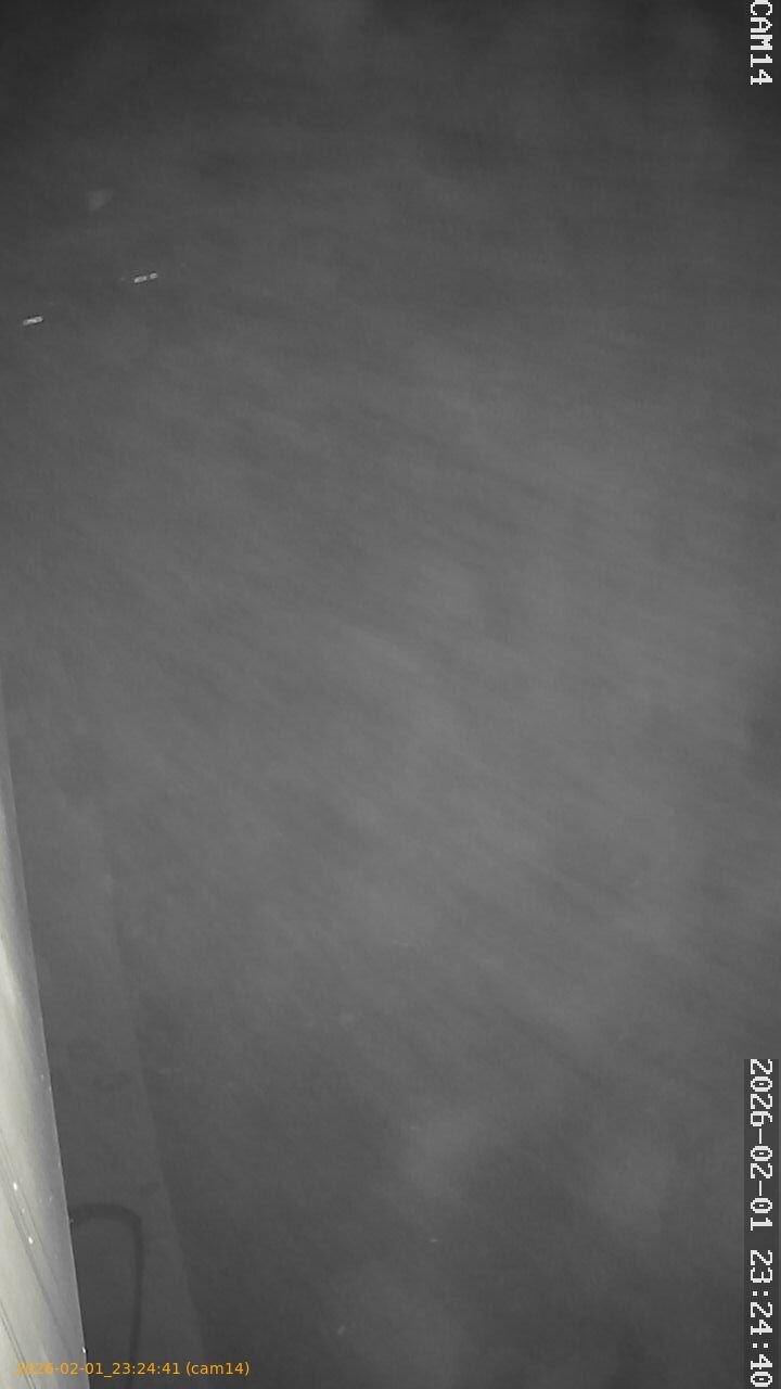 thumbnail_20260201232441