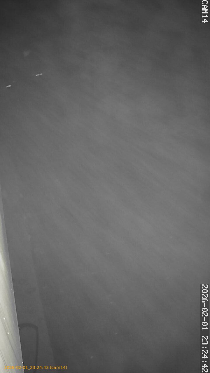 thumbnail_20260201232443