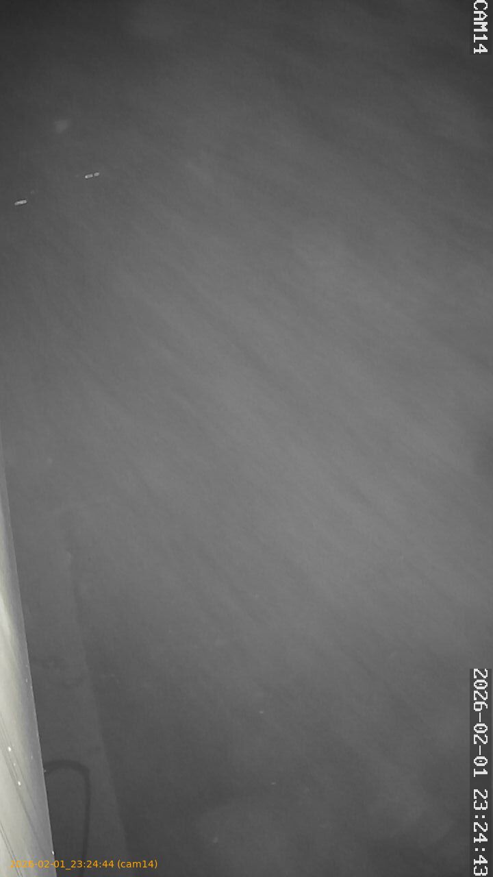 thumbnail_20260201232444