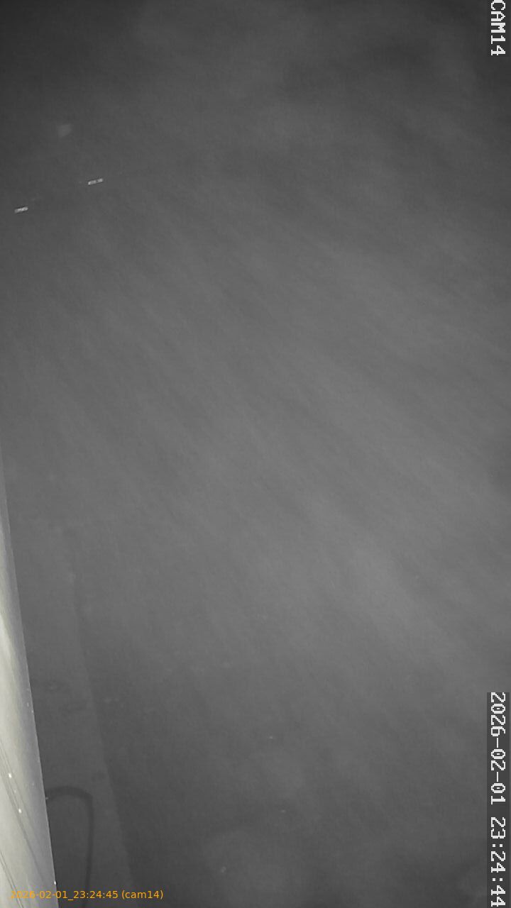 thumbnail_20260201232445