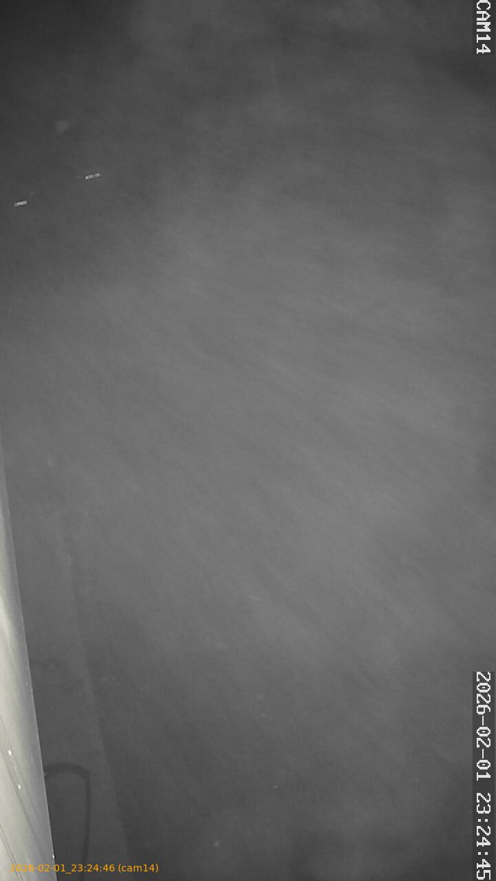 thumbnail_20260201232446