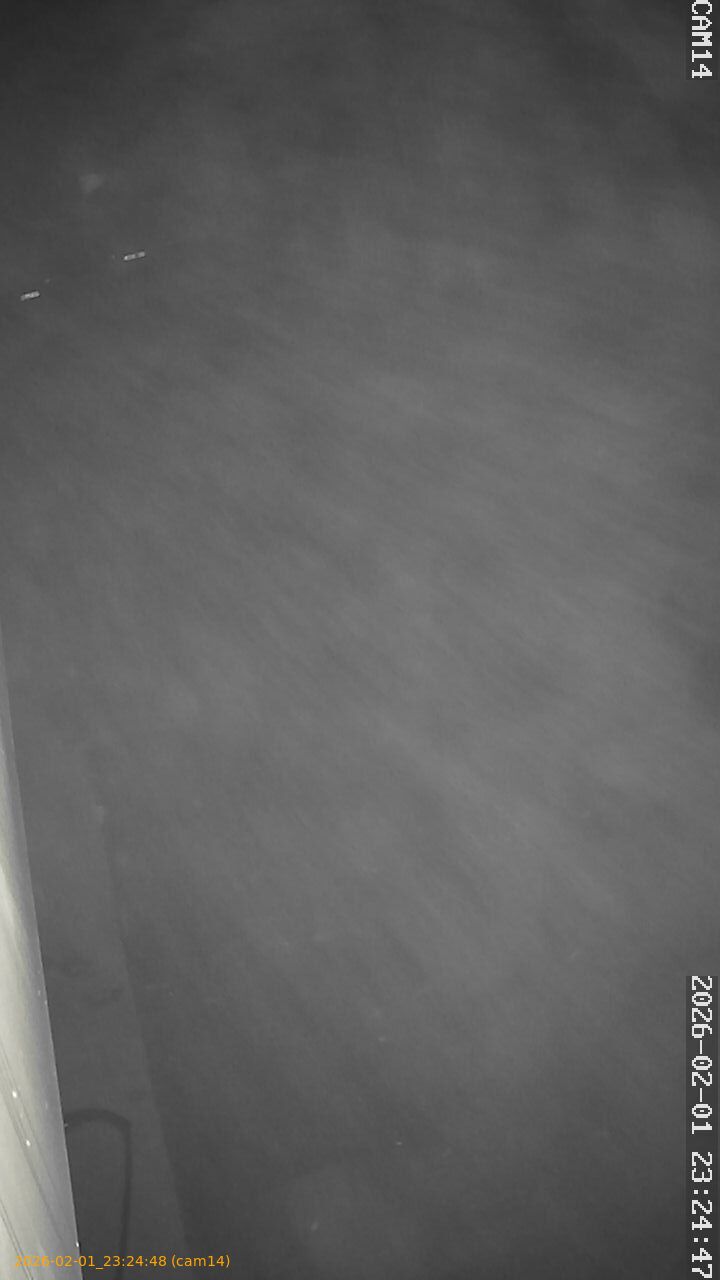 thumbnail_20260201232448