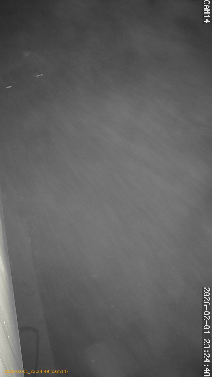 thumbnail_20260201232449