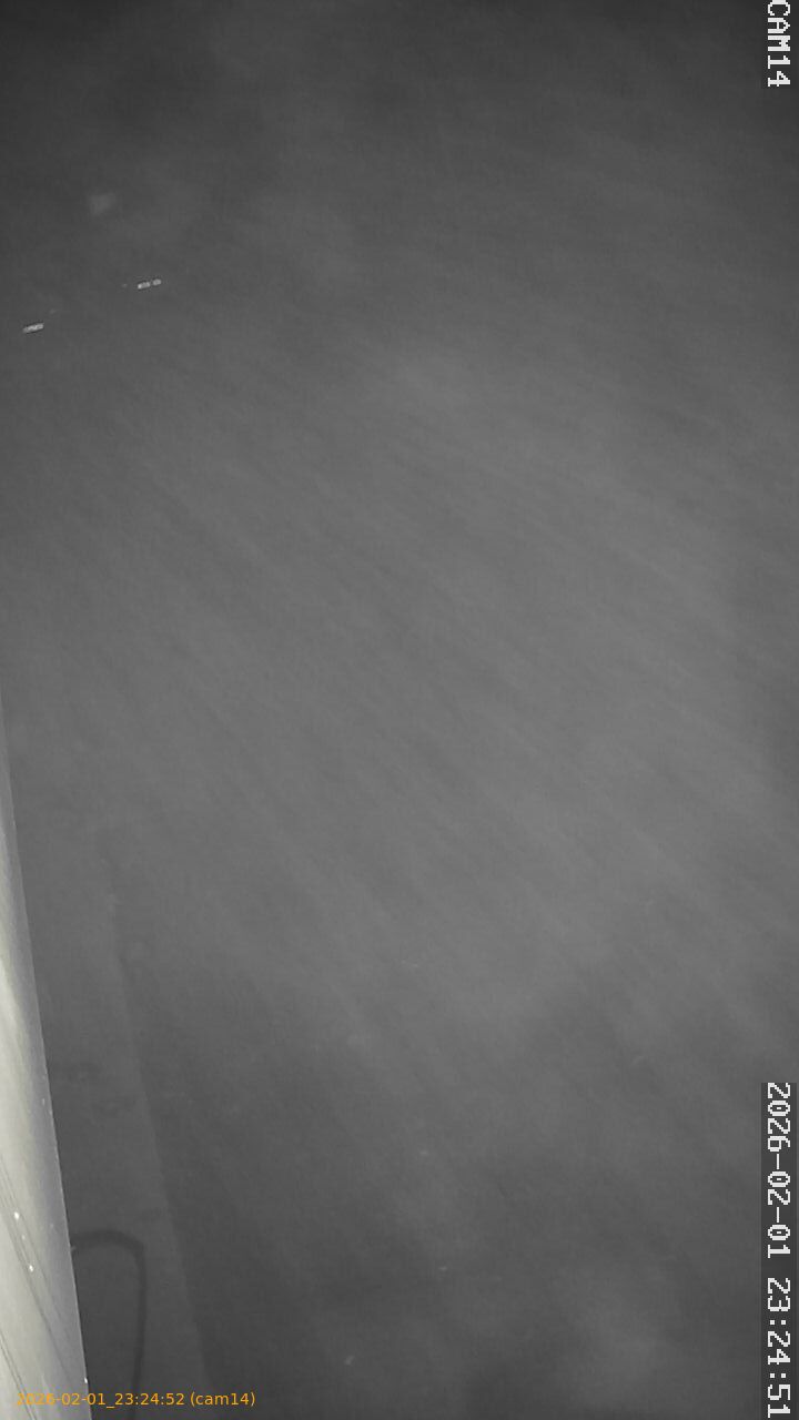 thumbnail_20260201232452