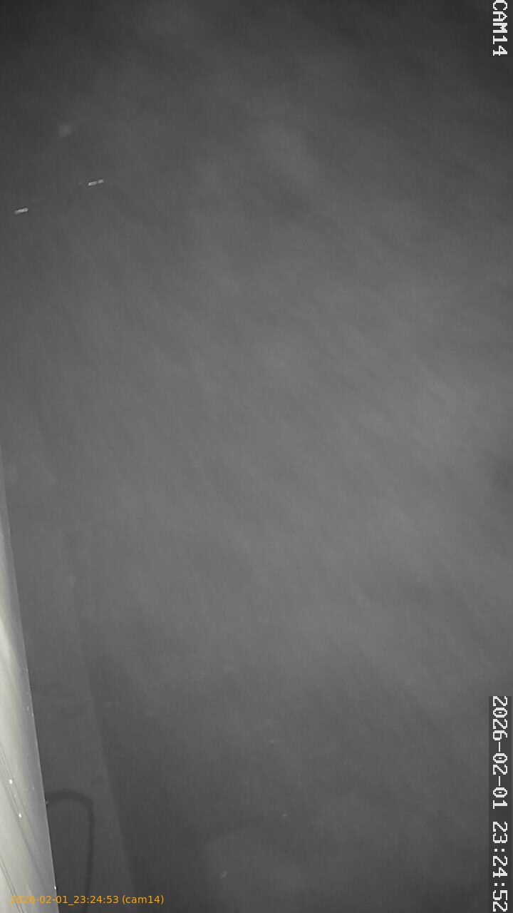 thumbnail_20260201232453