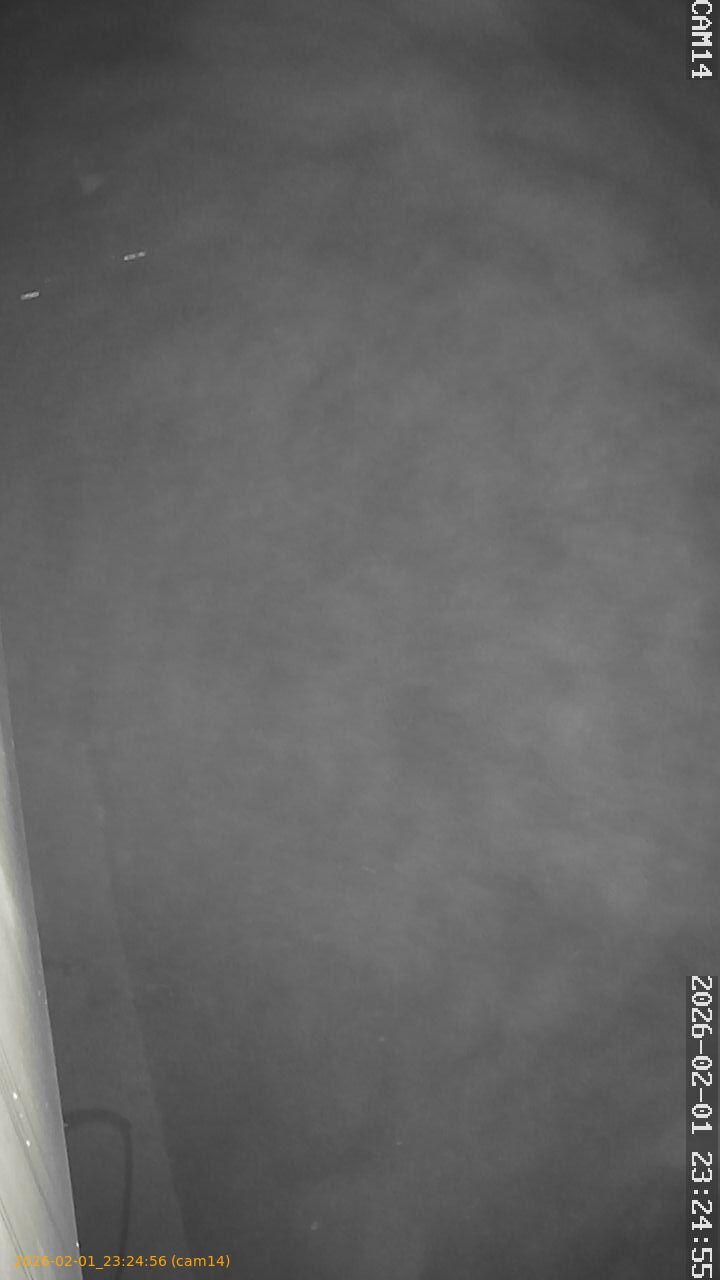 thumbnail_20260201232456