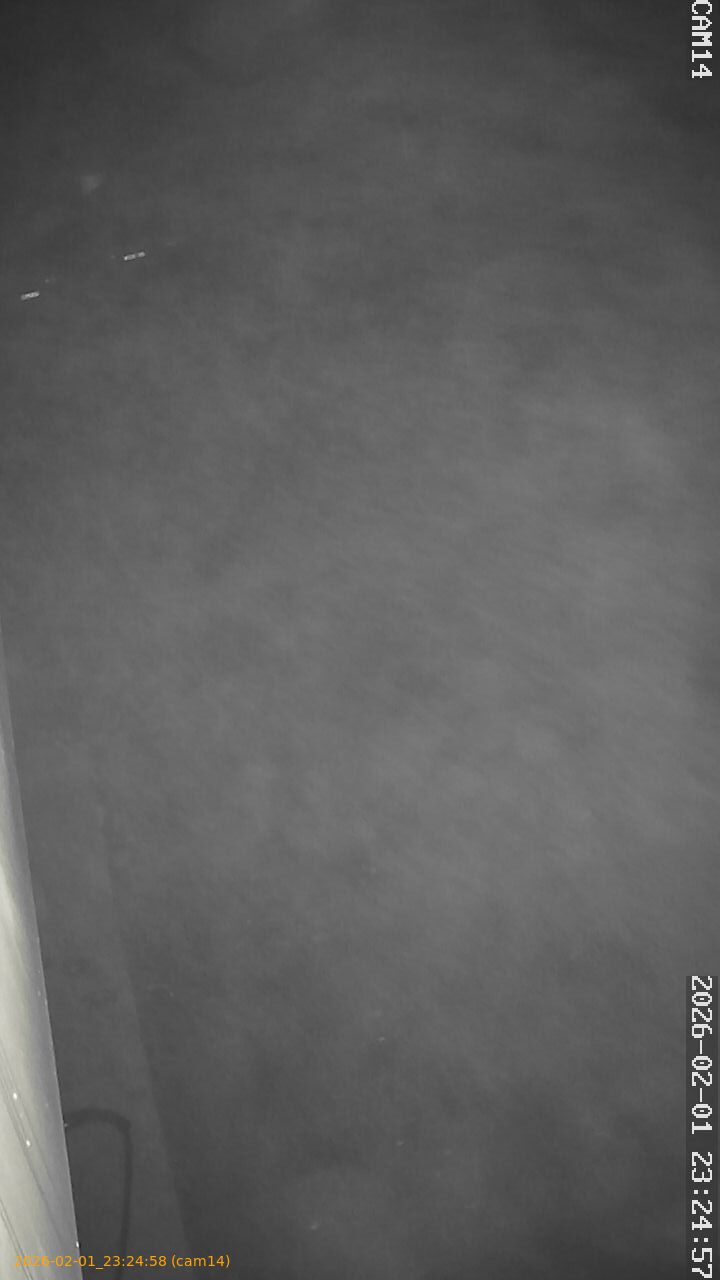 thumbnail_20260201232458