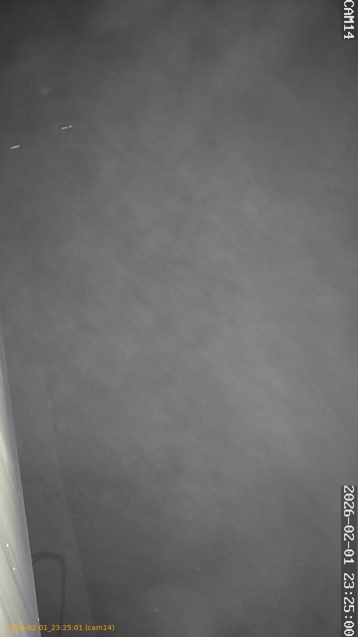 thumbnail_20260201232501