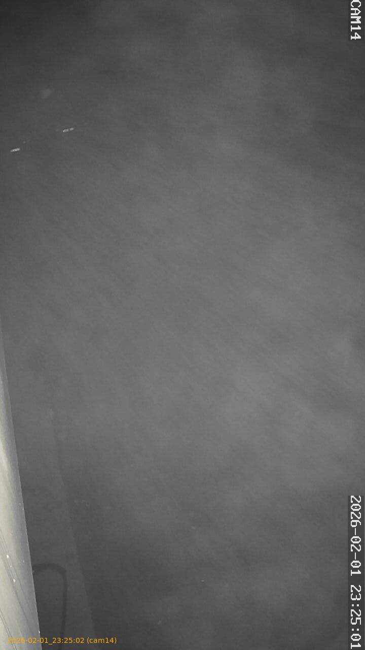 thumbnail_20260201232502