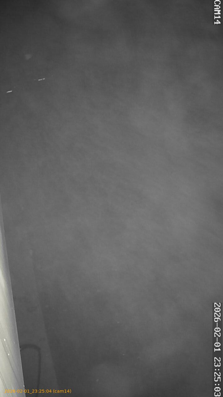 thumbnail_20260201232504