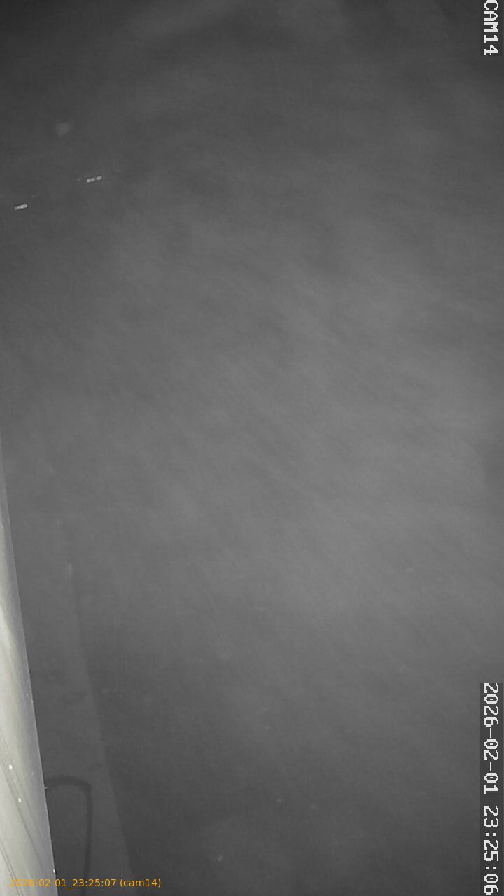 thumbnail_20260201232507