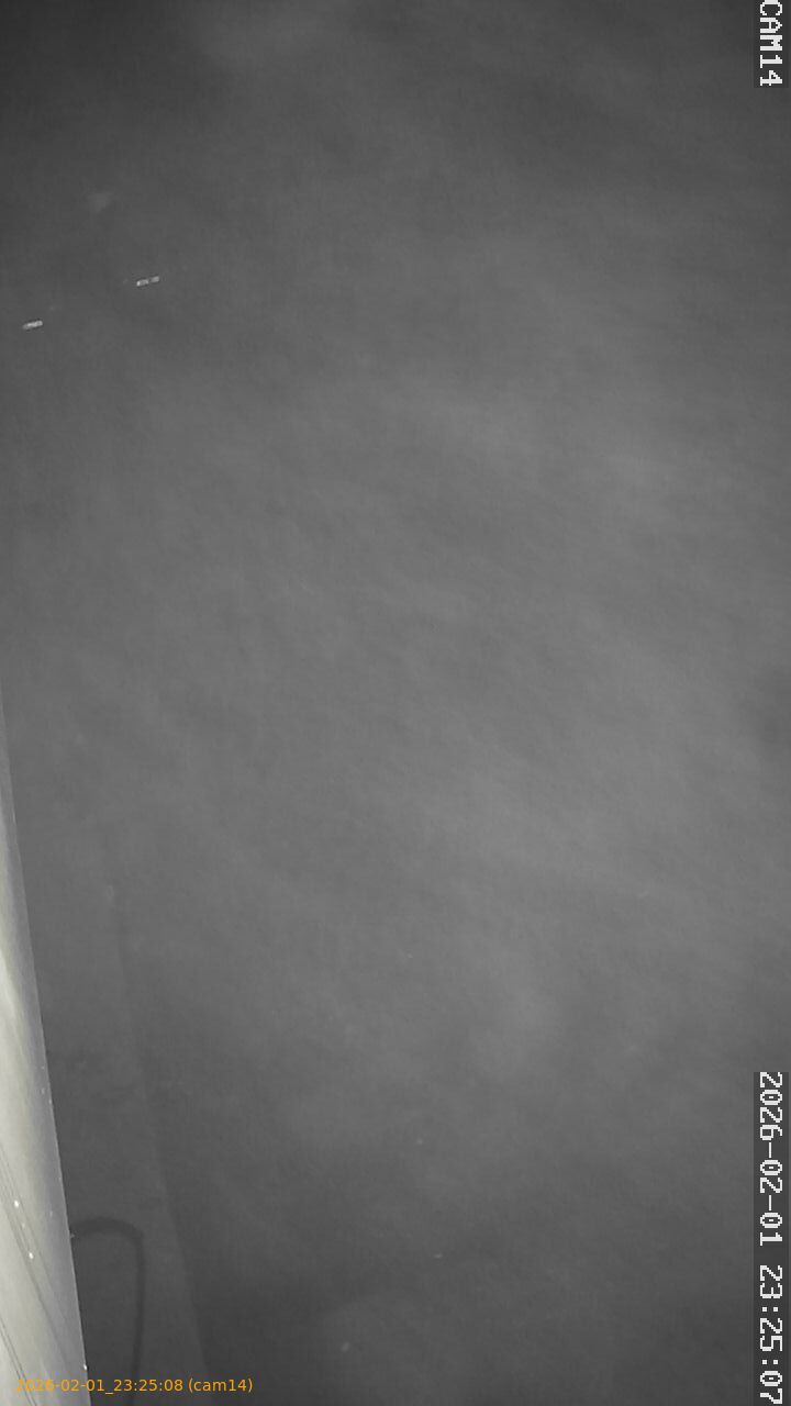 thumbnail_20260201232508