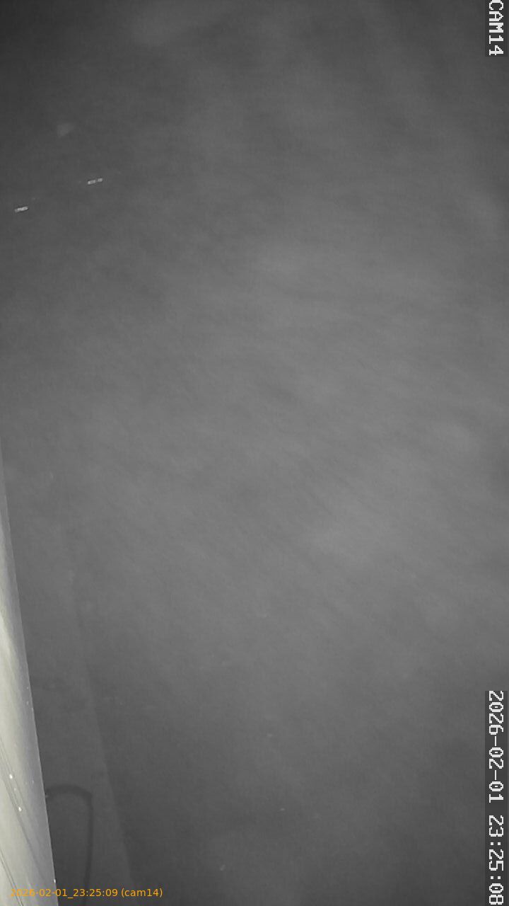 thumbnail_20260201232509