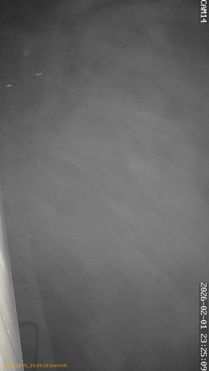 thumbnail_20260201232510