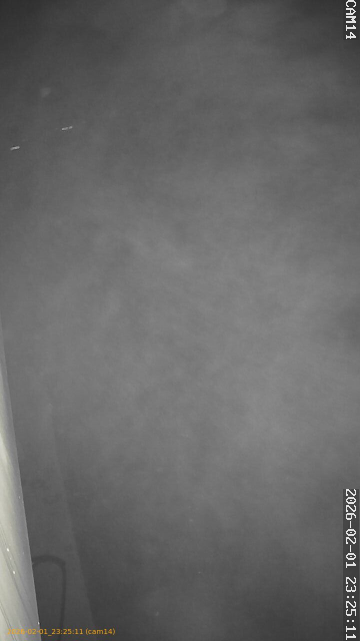 thumbnail_20260201232511