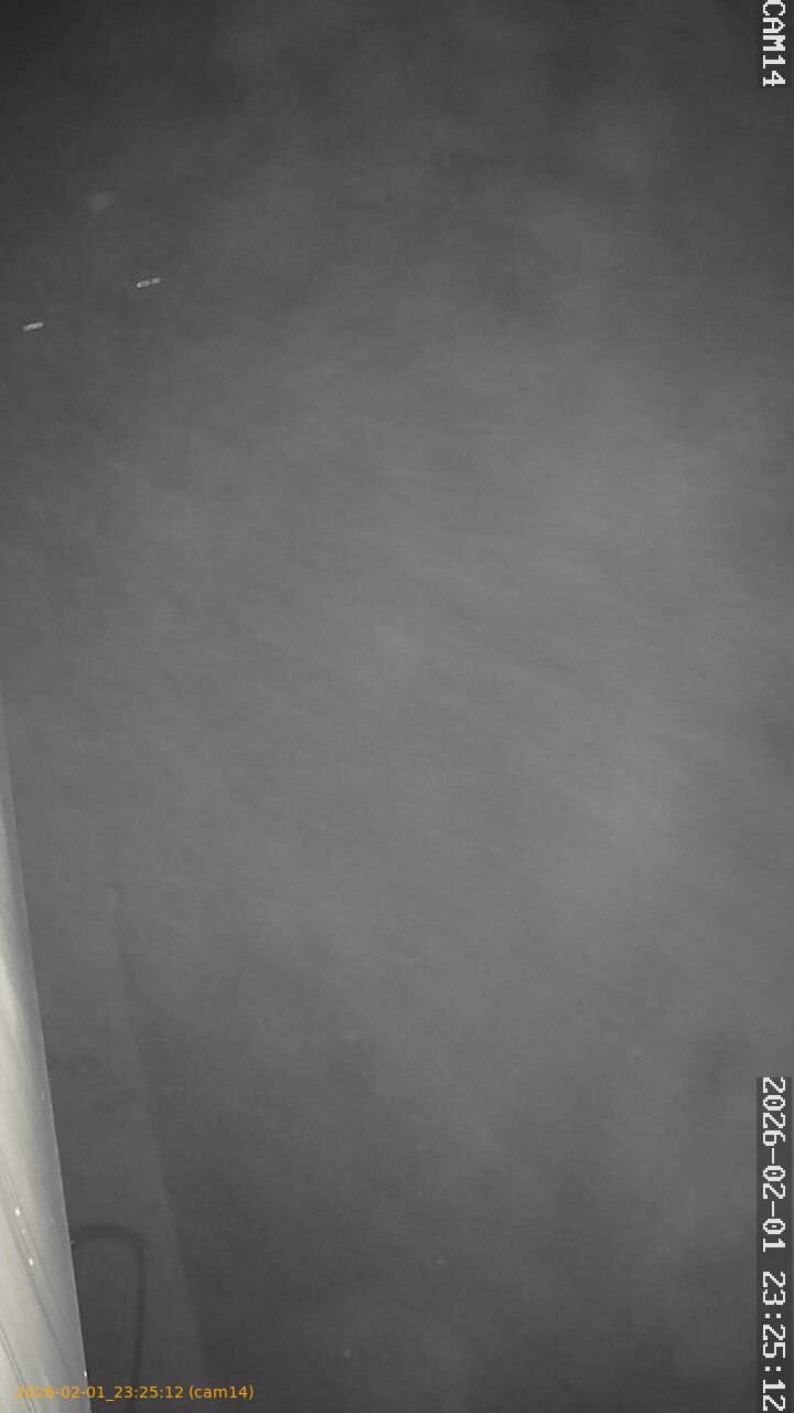 thumbnail_20260201232512