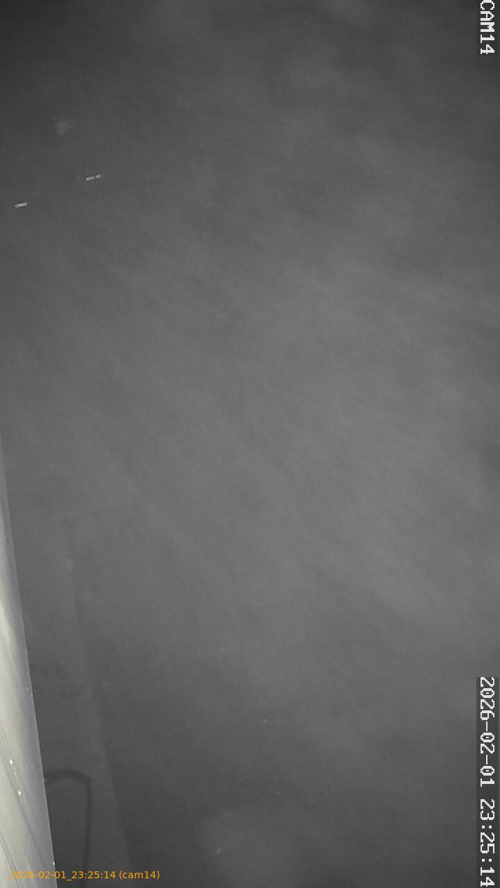 thumbnail_20260201232514