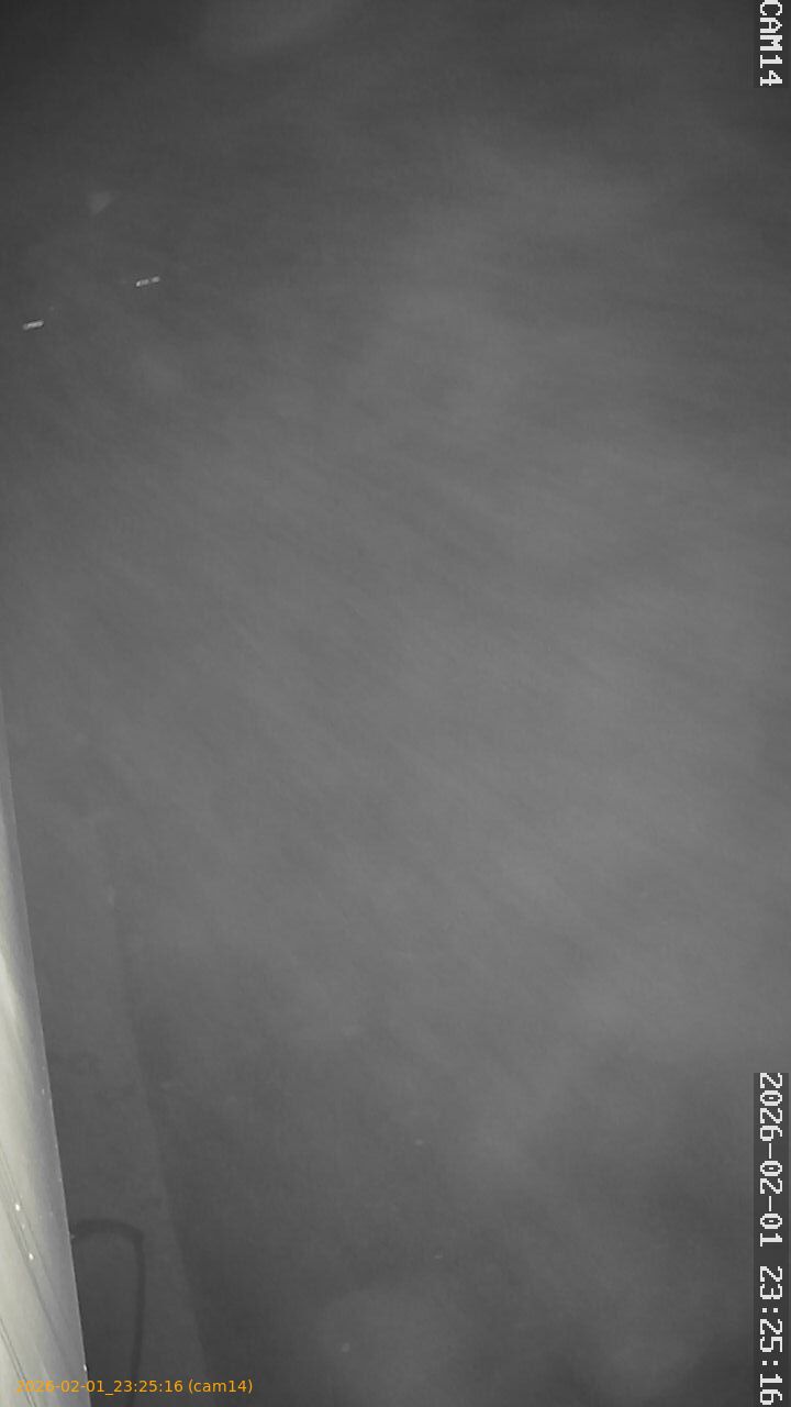 thumbnail_20260201232516