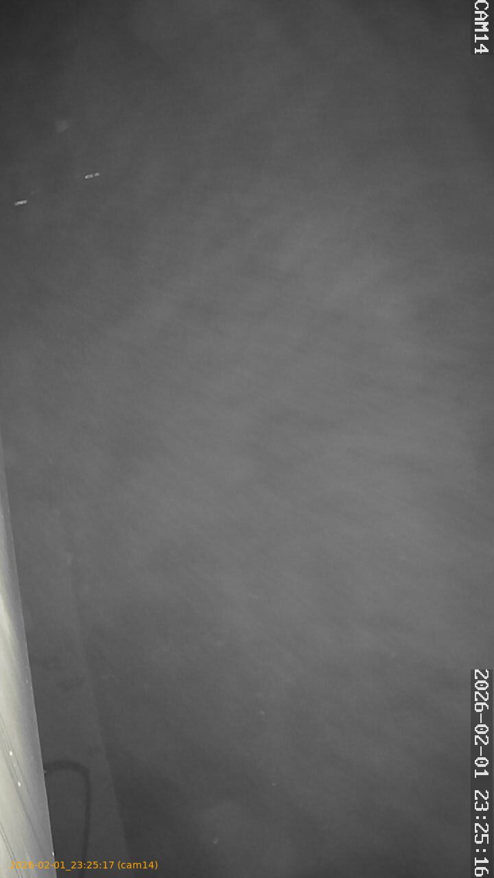 thumbnail_20260201232517