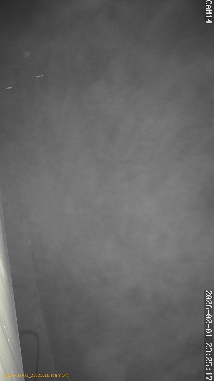 thumbnail_20260201232518