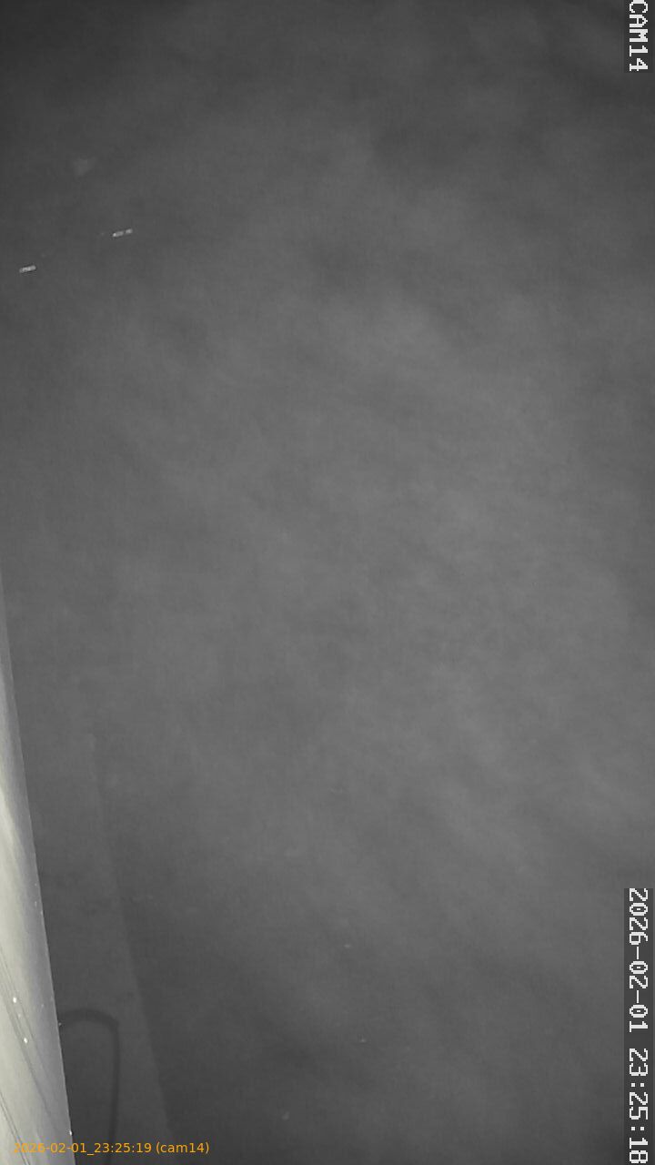 thumbnail_20260201232519