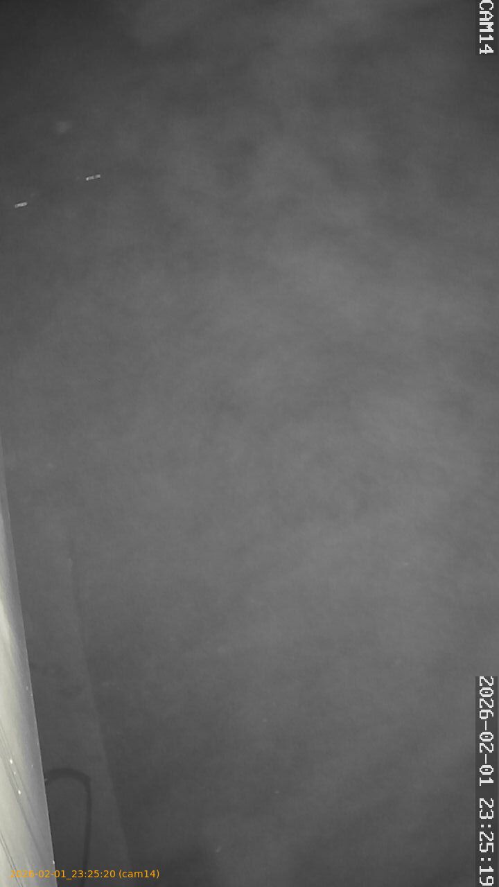 thumbnail_20260201232520