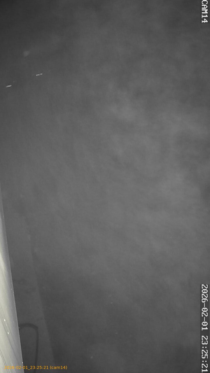 thumbnail_20260201232521