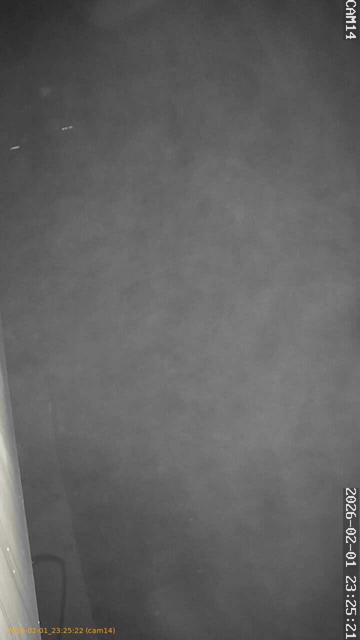 thumbnail_20260201232522