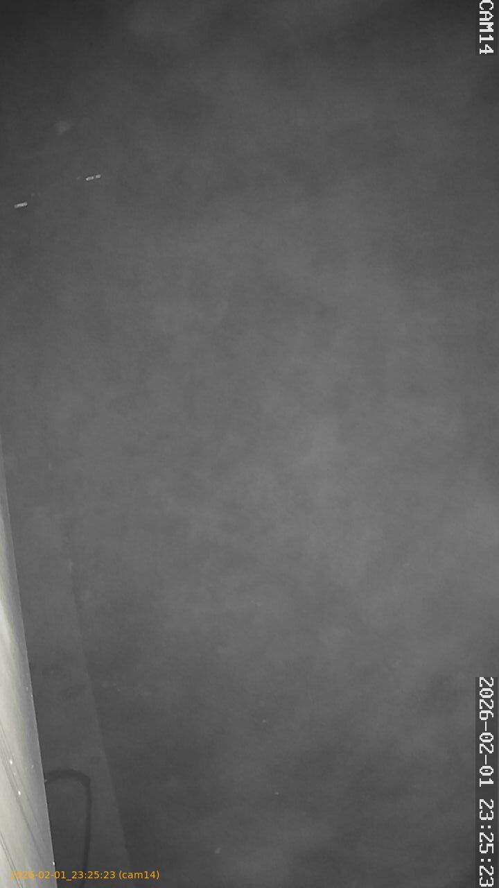 thumbnail_20260201232523