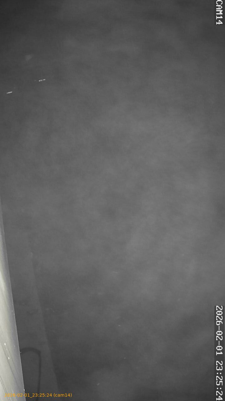 thumbnail_20260201232524