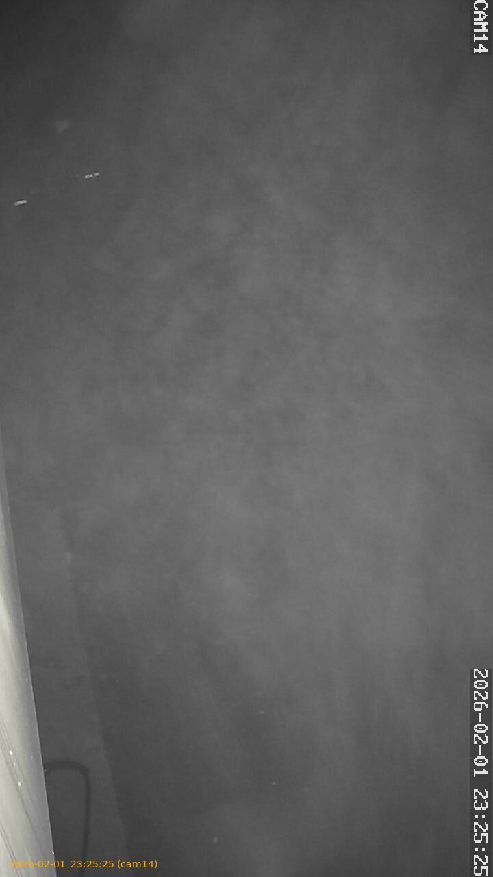 thumbnail_20260201232525