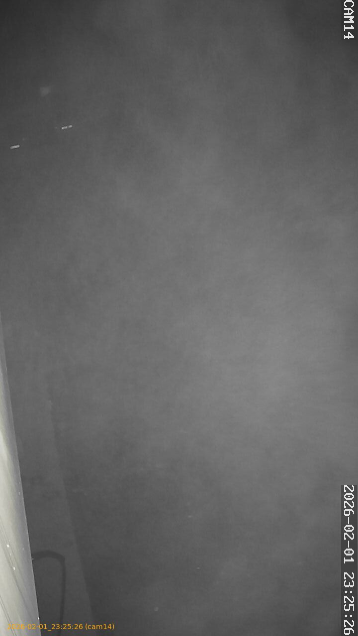 thumbnail_20260201232526