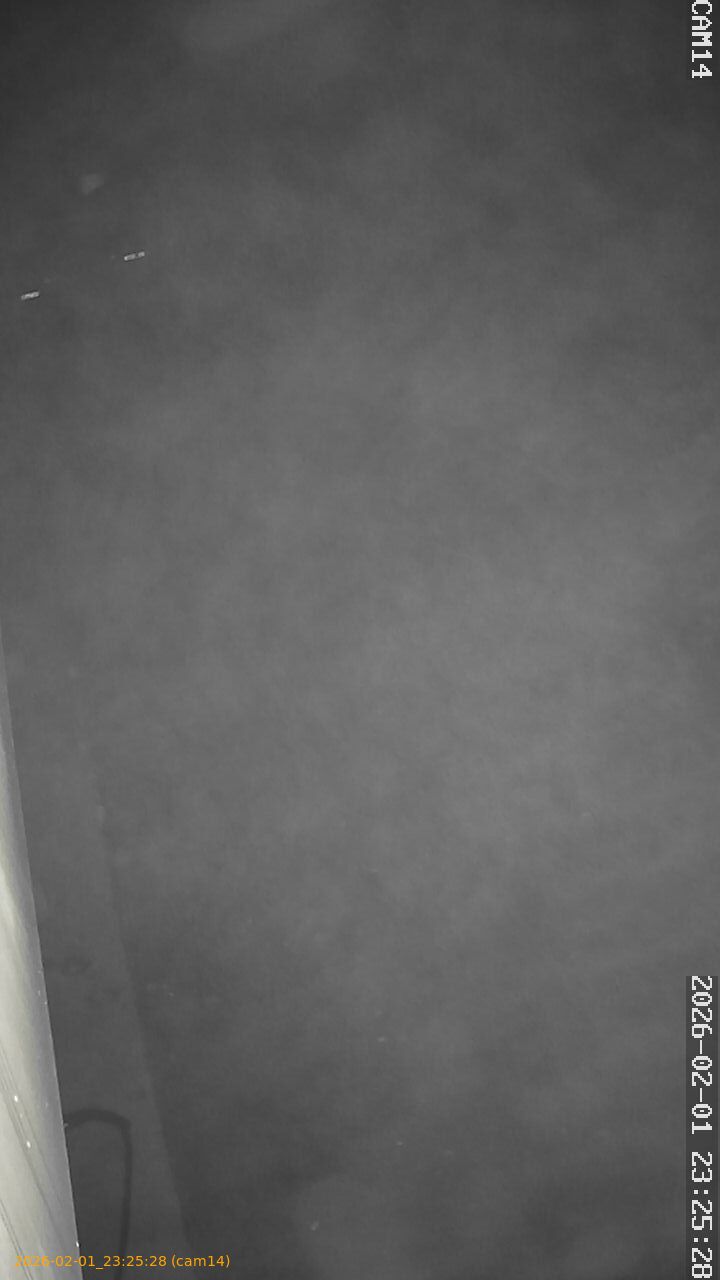 thumbnail_20260201232528