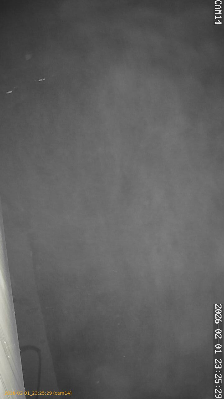 thumbnail_20260201232529