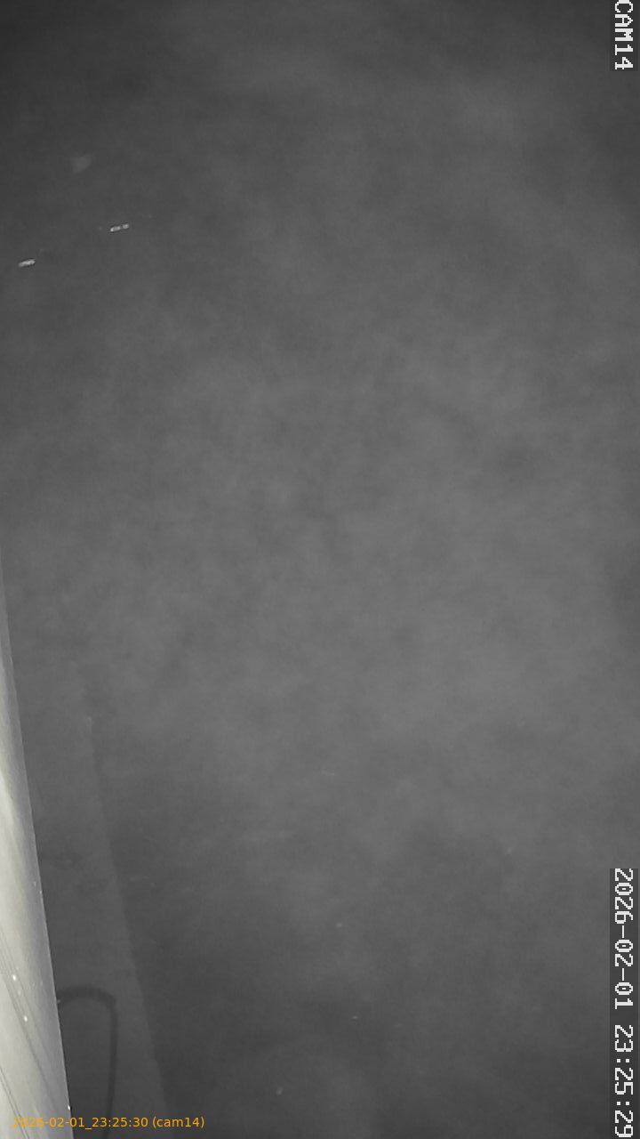 thumbnail_20260201232530