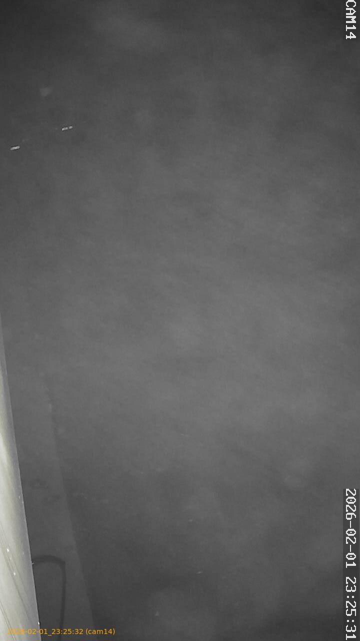 thumbnail_20260201232532