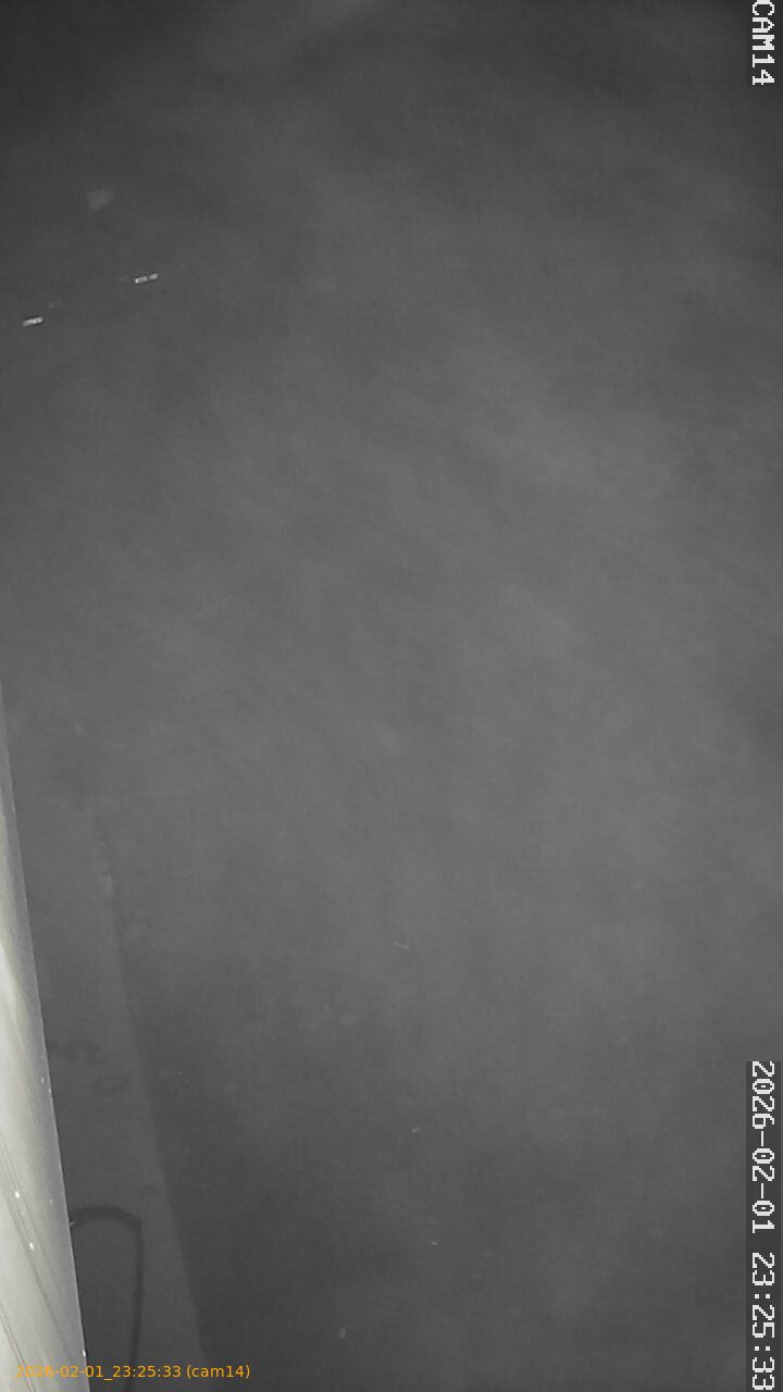 thumbnail_20260201232533