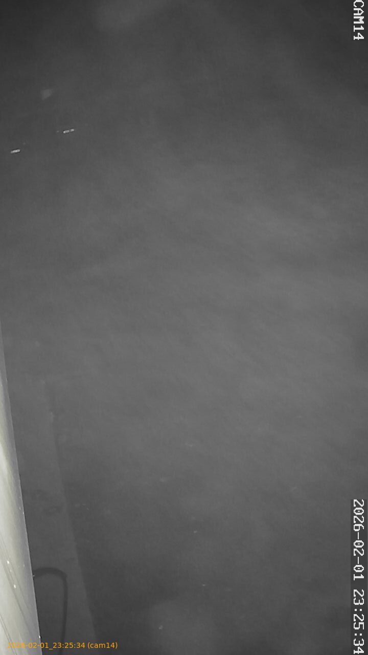 thumbnail_20260201232534