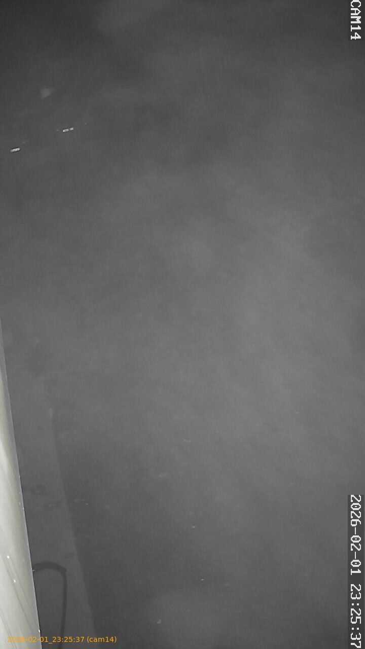 thumbnail_20260201232537