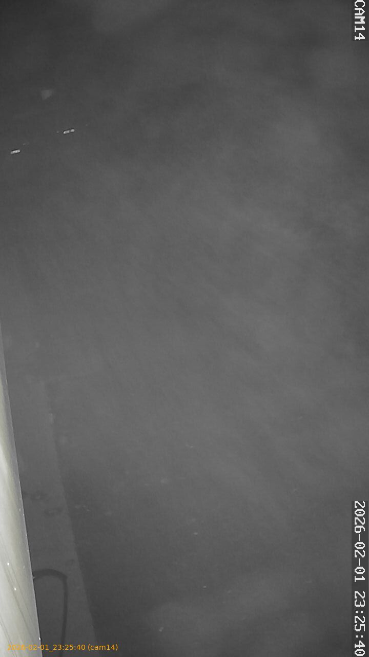 thumbnail_20260201232540