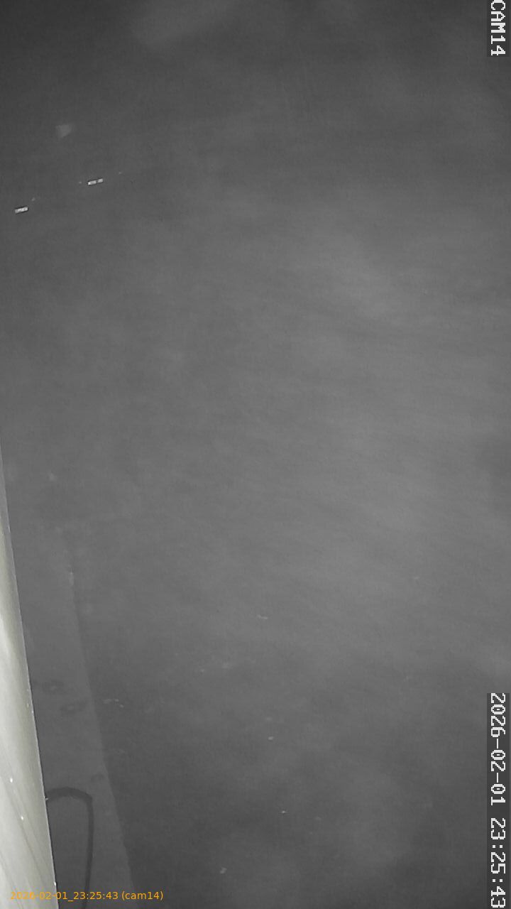 thumbnail_20260201232543