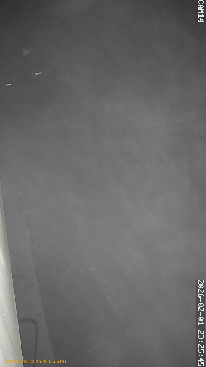 thumbnail_20260201232545