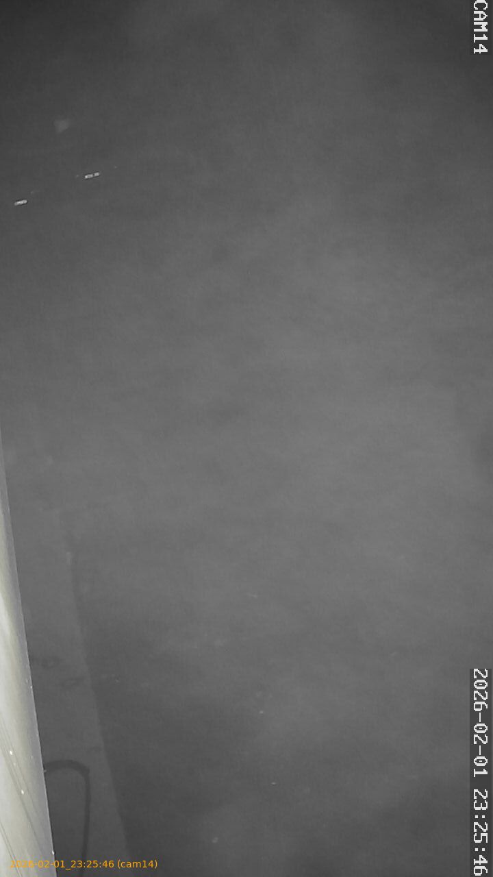 thumbnail_20260201232546