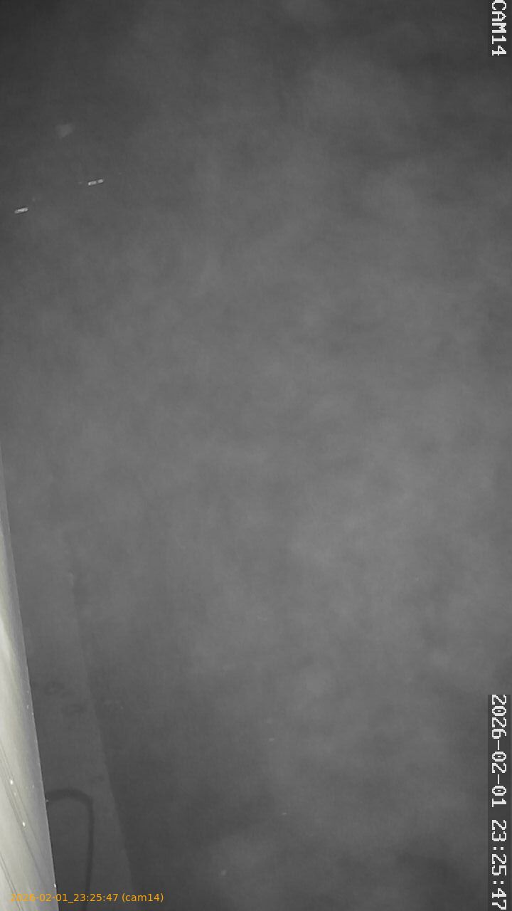 thumbnail_20260201232547